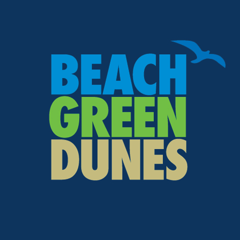 Beach Green Dunes